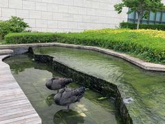 -行者书屋大堂吧 ·下午茶(南京圣和府邸酒店)