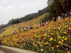 -保利石象湖景区