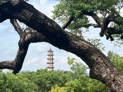 -江心屿景区