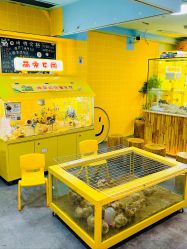 -神奇动物撸宠馆·羊驼·小浣熊·异宠(豫园店)