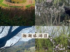 -杭州植物园