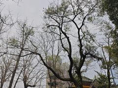 -望江楼公园