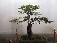 -胡雪岩故居