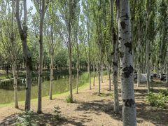 -东郊湿地公园