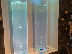 -正佳自然科学博物馆