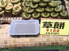 -富士山吉田線五合目