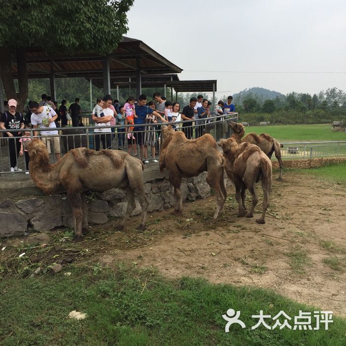 雅戈爾動物園