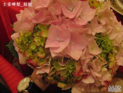 -上海万豪虹桥大酒店·宴会厅