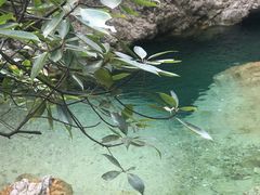 -南海湾森林生态园