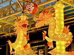 -武汉园博园(武汉自然博物馆)