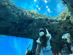 -南昌融创海世界