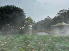 -广州莲花山旅游区