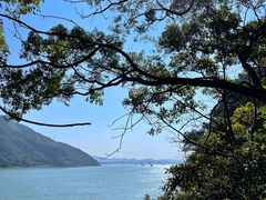 -羚羊峡古栈道森林公园