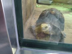 -太原动物园