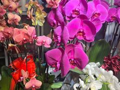 -爱尚花坊(大林路店)