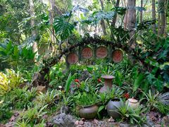 -中国科学院西双版纳热带植物园