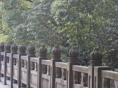 -南山植物园