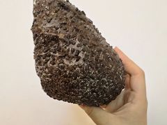 -御品轩(南院门店)