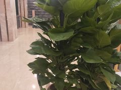 -尤雅养生·影院足道·SPA(金沙江路店)