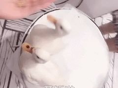 -白夜2D咖啡馆