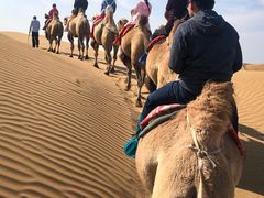 -银肯塔拉沙漠生态旅游景区