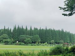 -宜兴龙背山森林公园