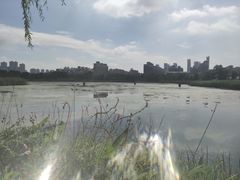 -武汉园博园(武汉自然博物馆)
