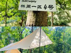 -抱龙峪