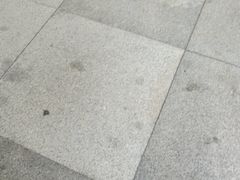 -世博源公馆·本帮融合菜·主题包厢·江景餐厅