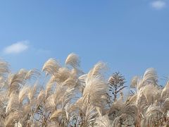 -湖州太湖旅游度假区-月亮广场