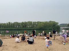 -大兴滨河森林公园