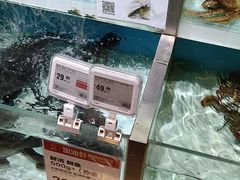 -盒马鲜生(枣园路店)