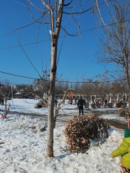 -优沃得自然教育农场·冰雪乐园·生日会·研学