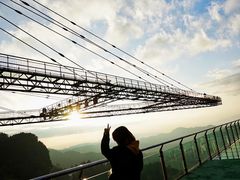 -梦幻奥陶纪景区