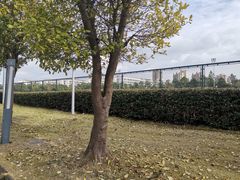 -同济大学(嘉定校区)