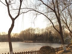 -东升八家郊野公园