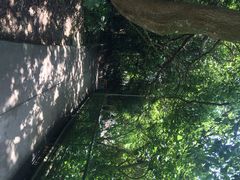 iphone_upload_pic-南丫岛