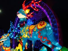 -武汉园博园(武汉自然博物馆)