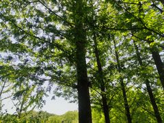 -西山漾湿地公园