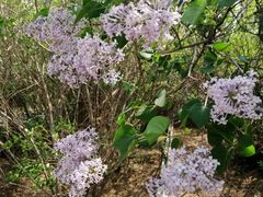 -哈尔滨师范大学(松北校区)