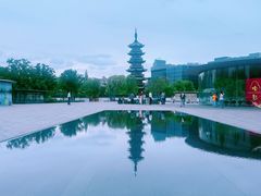 -龙华素斋(龙华路店)