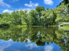 -上海共青森林公园