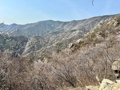 -北京鹫峰国家森林公园