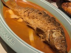 -阿五黄河大鲤鱼(英协路店)
