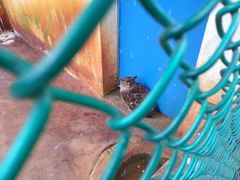 -广东茂名森林公园