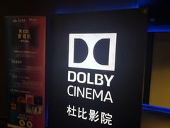 -万达影城(闵行颛桥万达广场杜比影院店)
