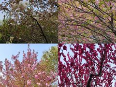 -郑州中国绿化博览园