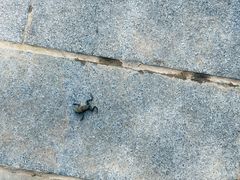 -两河城市森林公园