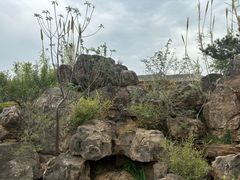 -洛阳古墓博物馆