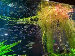 -上海海洋水族馆